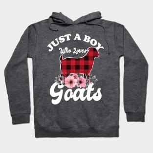 Just a Boy Who Loves Goats Hoodie